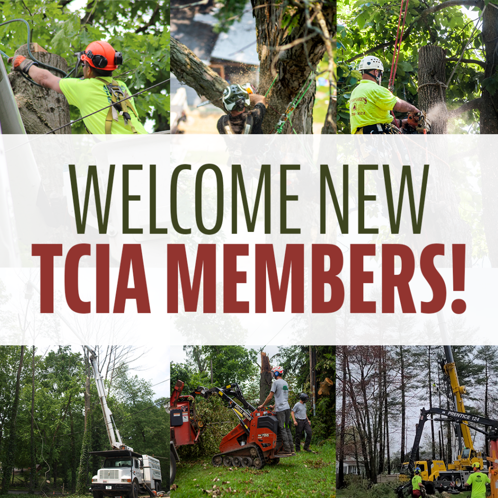 New TCIA Members in September 2023! Tree Care Industry