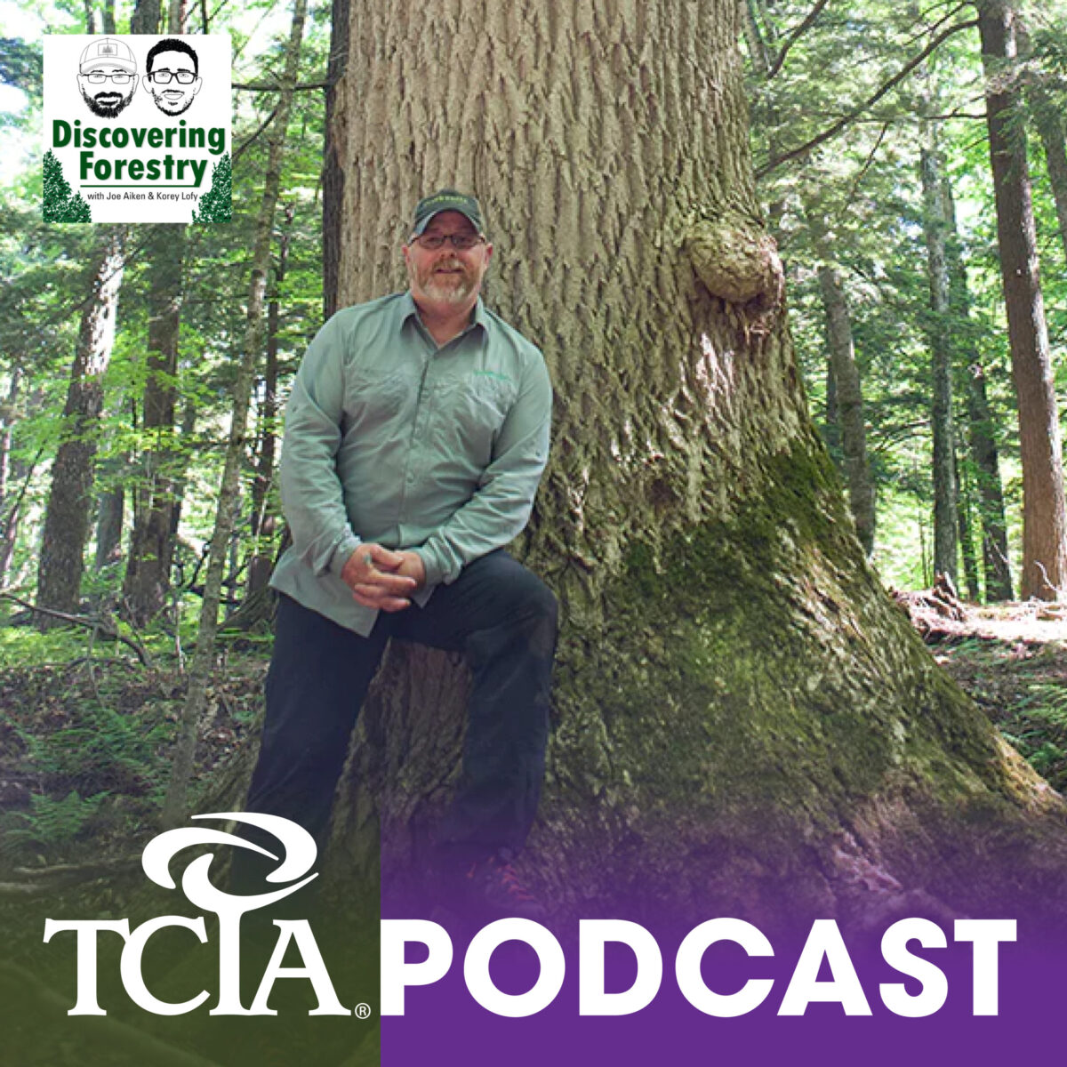 Why Choose an Apprenticeship Program? With August Hoppe Tree Care