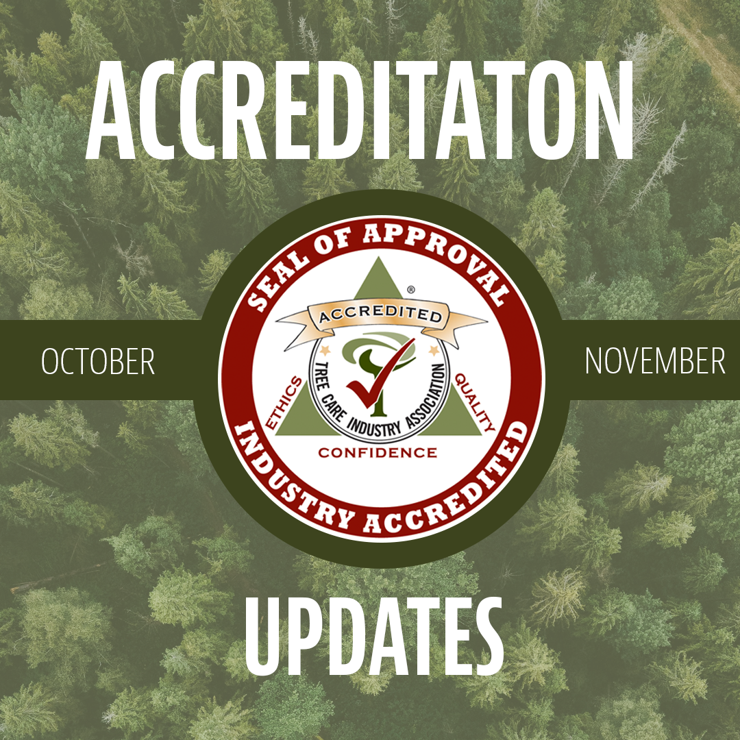TCIA accreditation logo