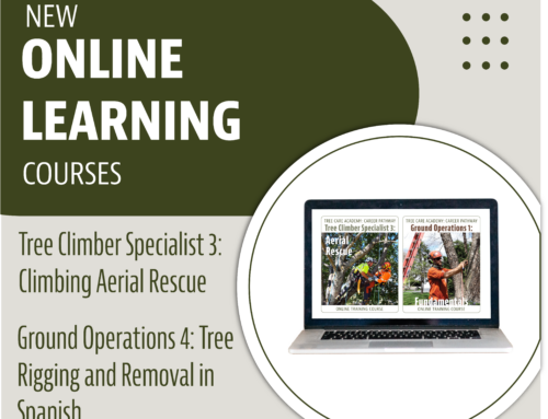 New Online Learning Courses!