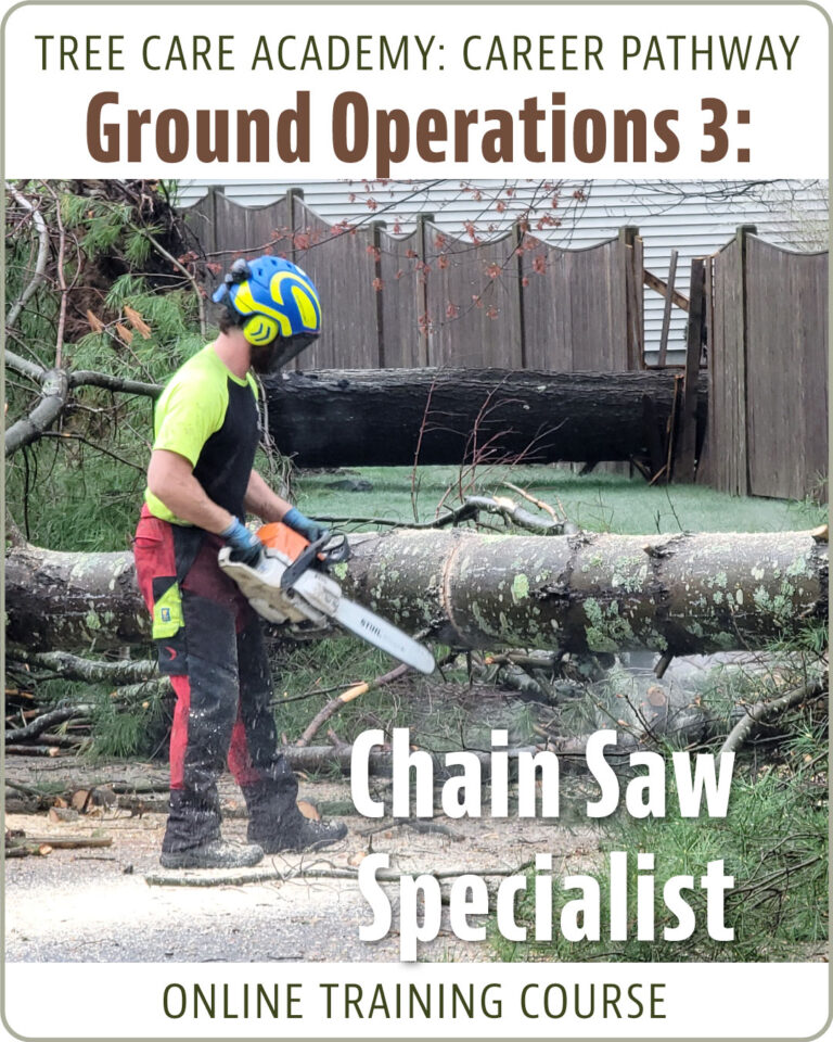 Ground Operations 3: Chain Saw Specialist - Tree Care Industry ...