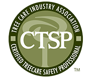 ctsp (2)