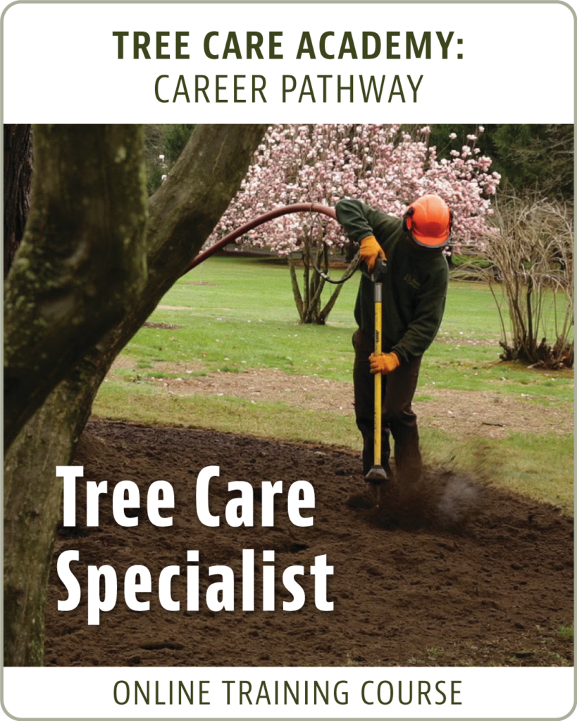 Tree Care Specialist