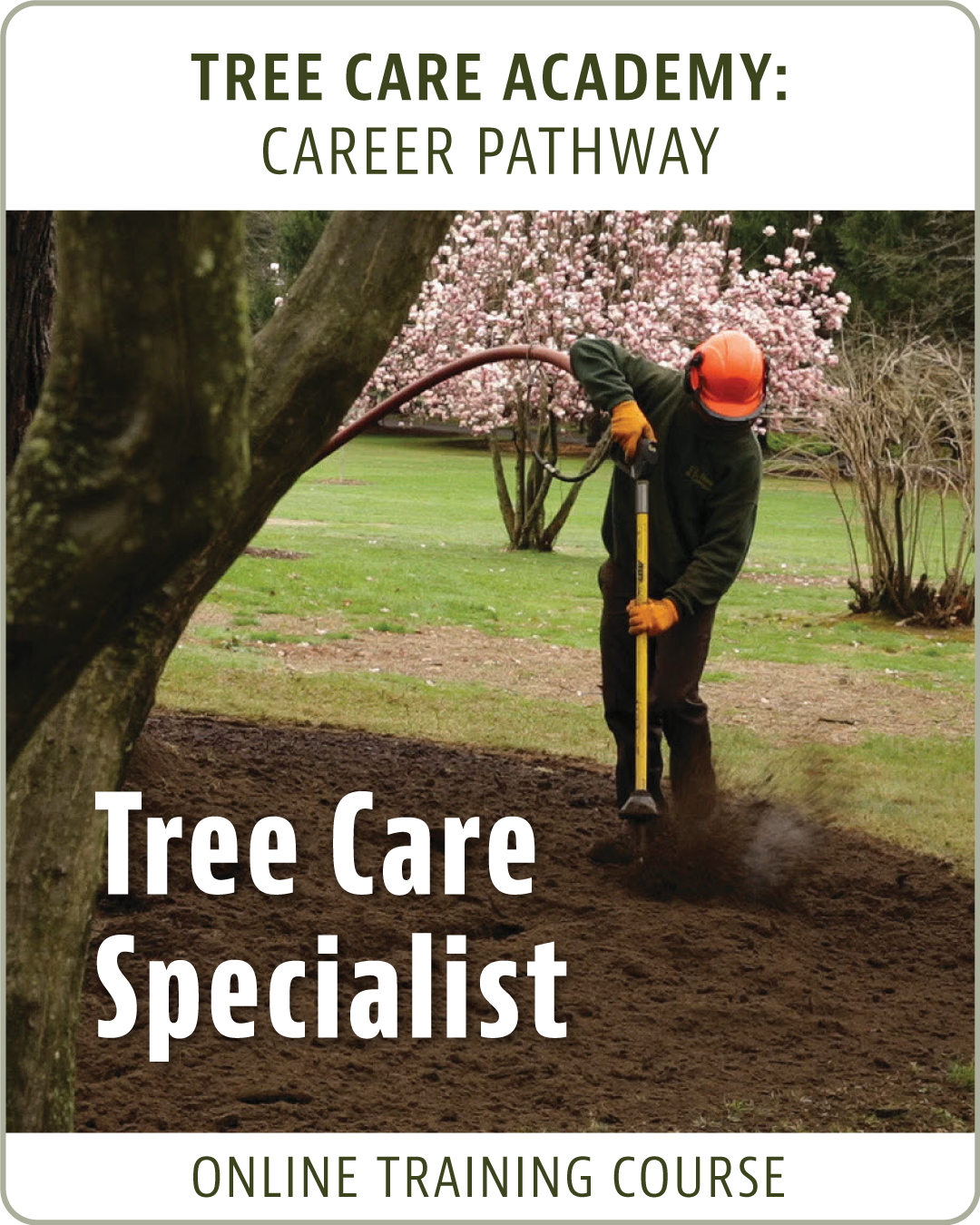 tree-care-specialist2 Tree Care Specialist