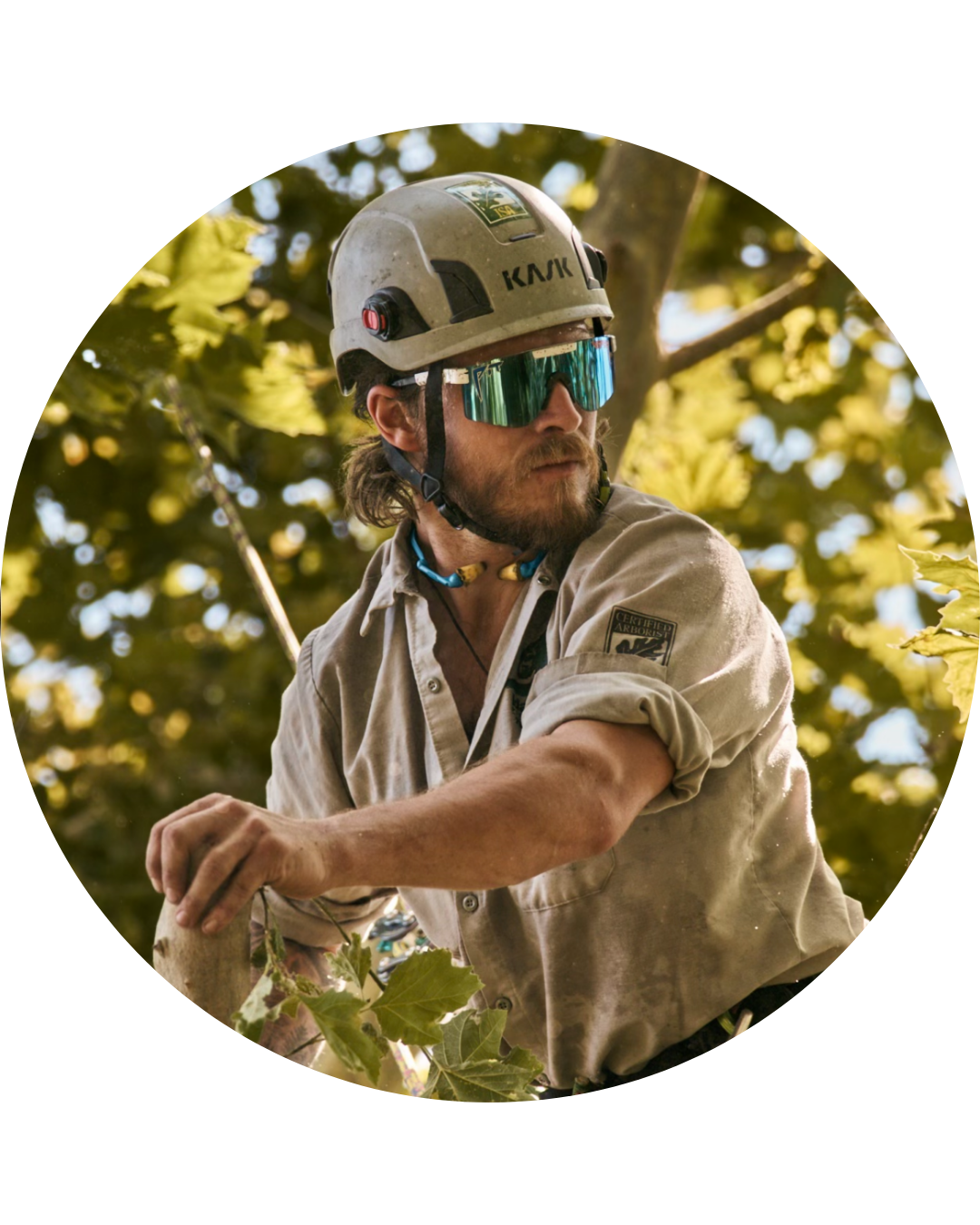 Chase-Andersen-Profile-pic