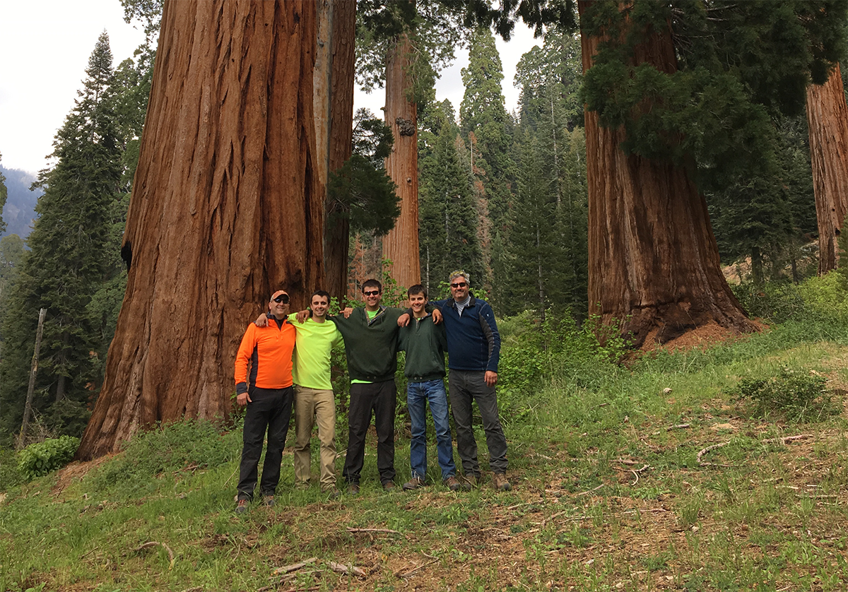 Climbing redwoods with Kappen Tree