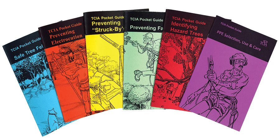 Pocket Guide Set (All Six) - English