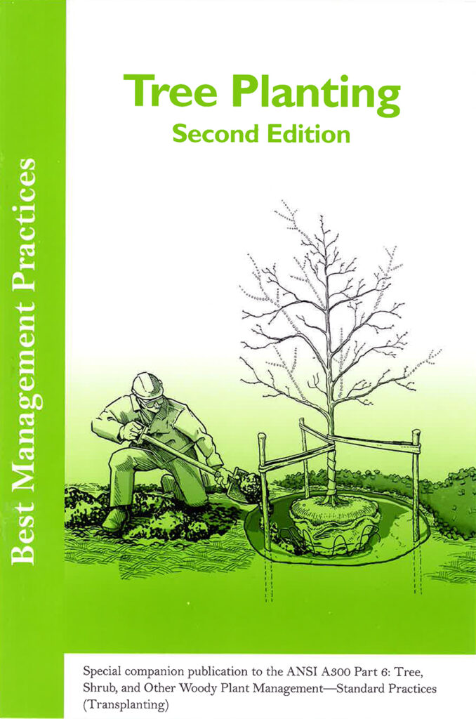 Tree Planting