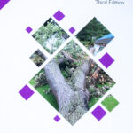 Tree Risk Assessment