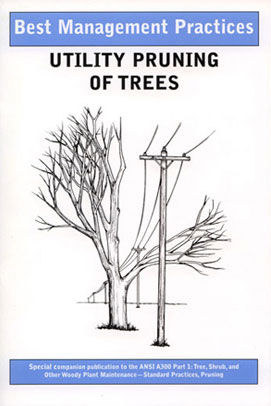 Utility Pruning of Trees